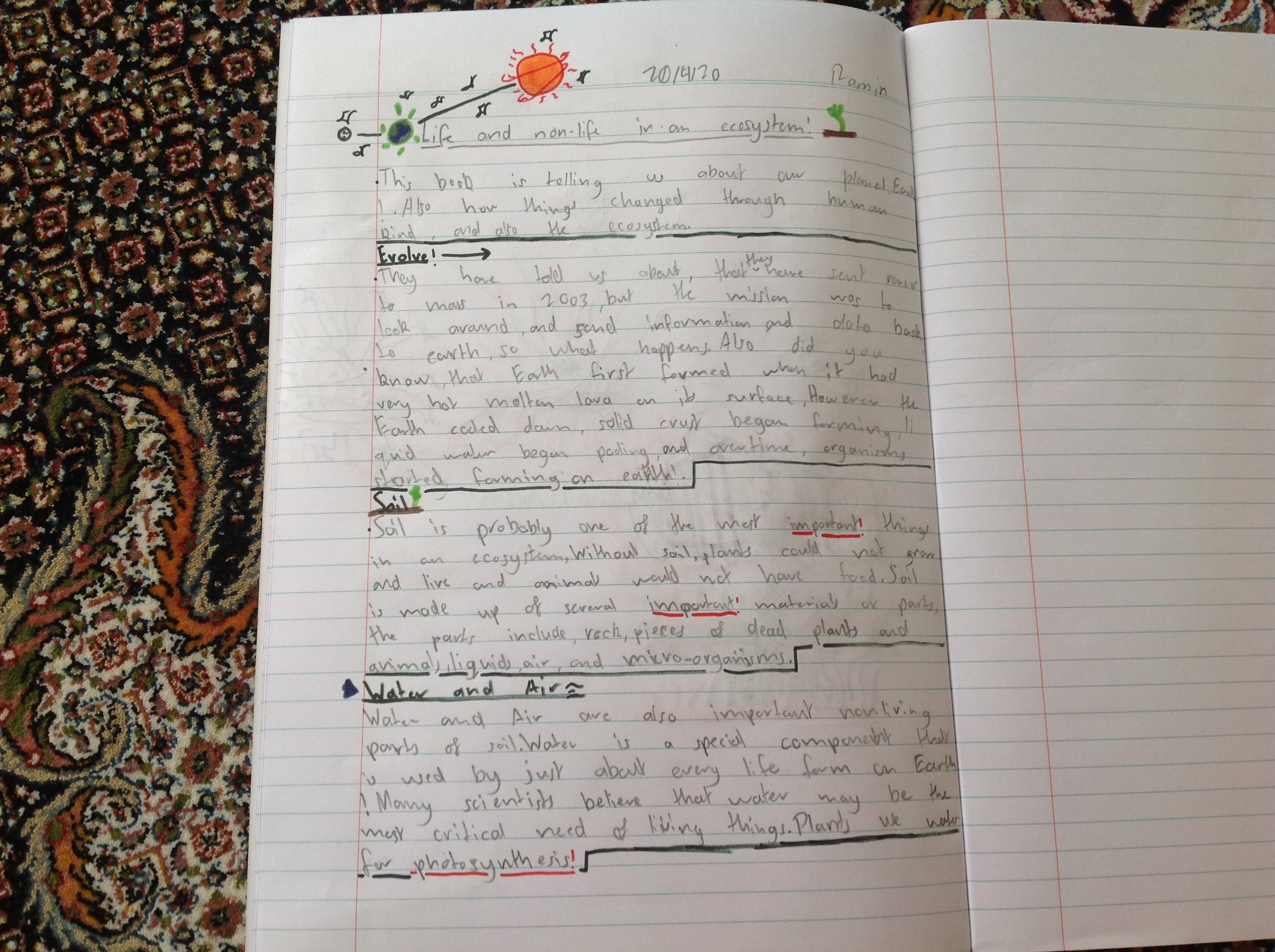 /uploaded_files/media/gallery/1587522692Ramin work.jpg